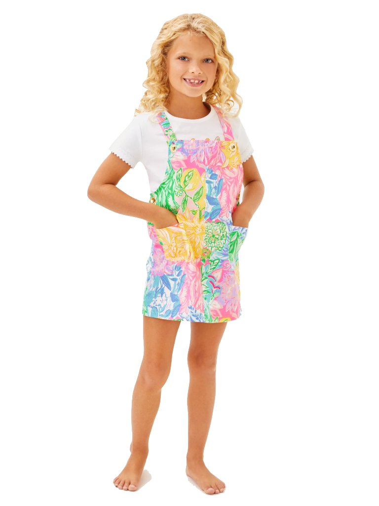Nwt Lilly Pulitzer Varney Overall Dress Bright Delight Patch Sz 10